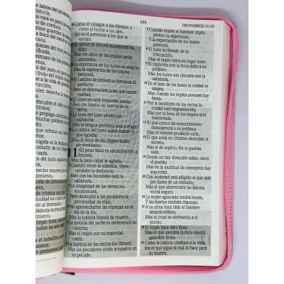 santa biblia letra gigante edicion de promesas santa biblia letra gigante edicion de promesas