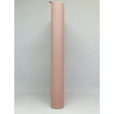santa biblia letra gigante edicion de promesas santa biblia letra gigante edicion de promesas