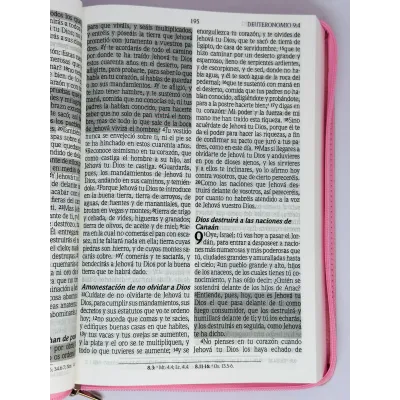 santa biblia letra gigante edicion de promesas santa biblia letra gigante edicion de promesas
