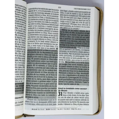 santa biblia letra gigante edicion de promesas santa biblia letra gigante edicion de promesas
