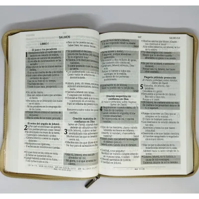 santa biblia letra gigante edicion de promesas santa biblia letra gigante edicion de promesas