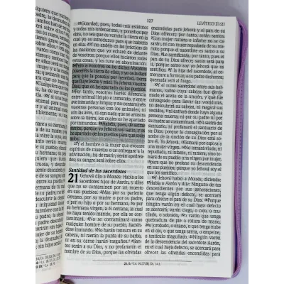 santa biblia letra gigante edicion de promesas santa biblia letra gigante edicion de promesas