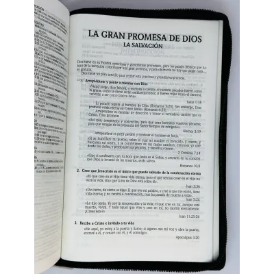 santa biblia letra gigante edicion de promesas santa biblia letra gigante edicion de promesas