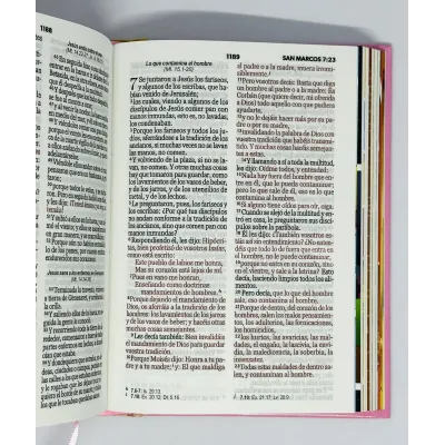 Biblia Mi Gran Viaje RVR60/Tapa Dura/Rosada Biblia Mi Gran Viaje RVR60/Tapa Dura/Rosada