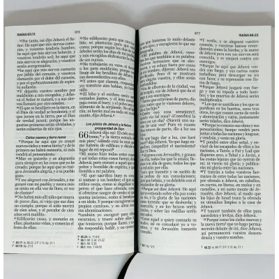 Biblia RVR60/Manual/Letra Grande/Tapa Dura/Elastico/Canto/Leon Biblia RVR60/Manual/Letra Grande/Tapa Dura/Elastico/Canto/Leon