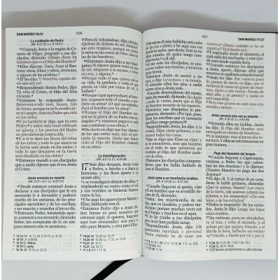 Biblia RVR60/Manual/Letra Grande/Tapa Dura/Elastico/Canto/Leon Biblia RVR60/Manual/Letra Grande/Tapa Dura/Elastico/Canto/Leon