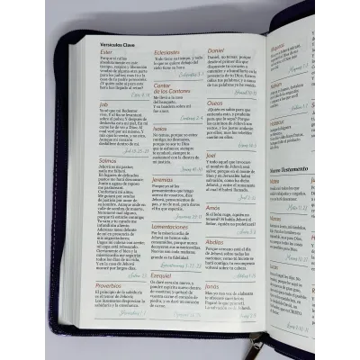 santa biblia letra grande ayudas de estudio santa biblia letra grande ayudas de estudio