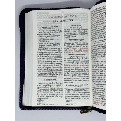 santa biblia letra grande ayudas de estudio santa biblia letra grande ayudas de estudio