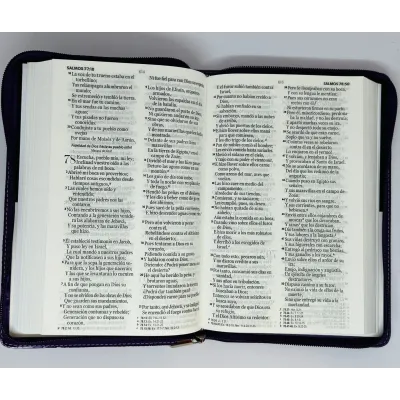 santa biblia letra grande ayudas de estudio santa biblia letra grande ayudas de estudio
