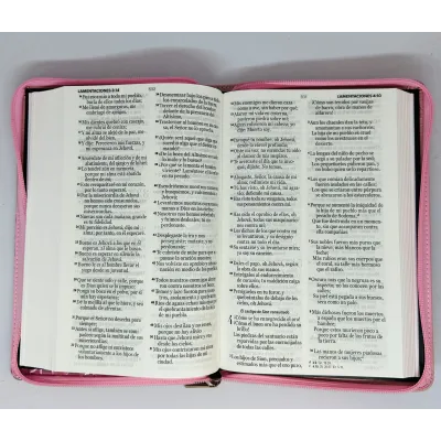 santa biblia letra grande ayudas de estudio santa biblia letra grande ayudas de estudio