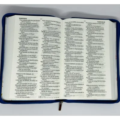 santa biblia letra grande ayudas de estudio
