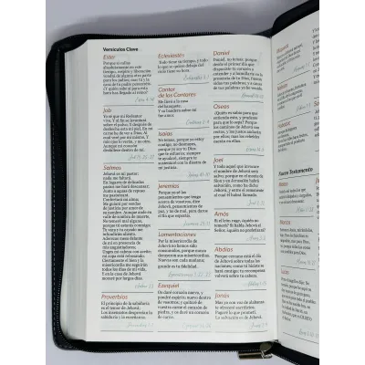 santa biblia letra grande ayudas de estudio santa biblia letra grande ayudas de estudio