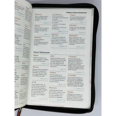 santa biblia letra grande ayudas de estudio santa biblia letra grande ayudas de estudio
