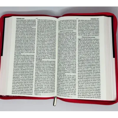 santa biblia letra grande ayudas de estudio santa biblia letra grande ayudas de estudio