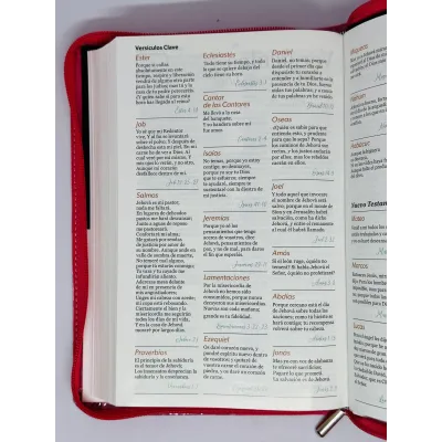 santa biblia letra grande ayudas de estudio santa biblia letra grande ayudas de estudio