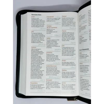 santa biblia letra grande ayudas de estudio