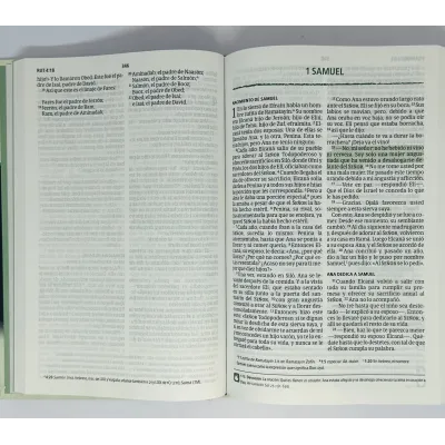 Biblia Del Pescador-NVI-Letra Grande-Verde Biblia Del Pescador-NVI-Letra Grande-Verde
