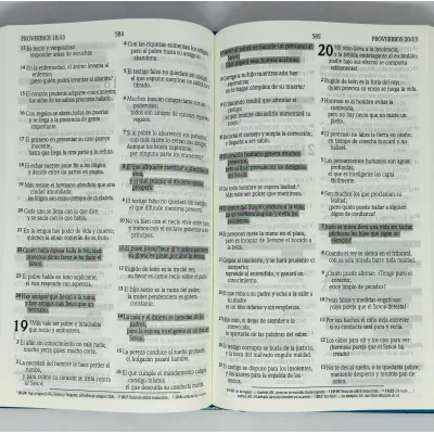 Biblia De Promesas NVI/Tapadura Azul Biblia De Promesas NVI/Tapadura Azul