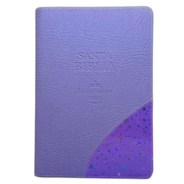santa biblia letra gigante edicion de promesas