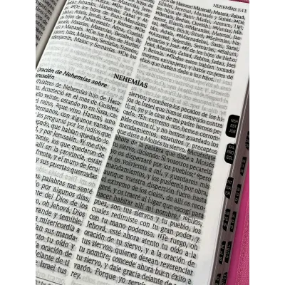 Biblia de Promesas Letra Gigante Rosa con cierre e índice RVR60 Biblia de Promesas Letra Gigante Rosa con cierre e índice RVR60
