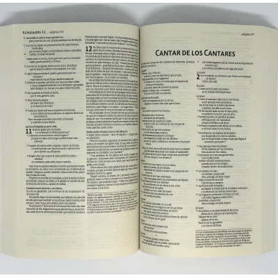 Biblia Económica/NTV/Edición Semillas Nueva Verde/Rustica Biblia Económica/NTV/Edición Semillas Nueva Verde/Rustica