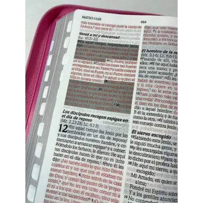 Biblia de Promesas Letra Gigante Rosa con cierre e índice RVR60 Biblia de Promesas Letra Gigante Rosa con cierre e índice RVR60