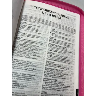 Biblia de Promesas Letra Gigante Rosa con cierre e índice RVR60 Biblia de Promesas Letra Gigante Rosa con cierre e índice RVR60