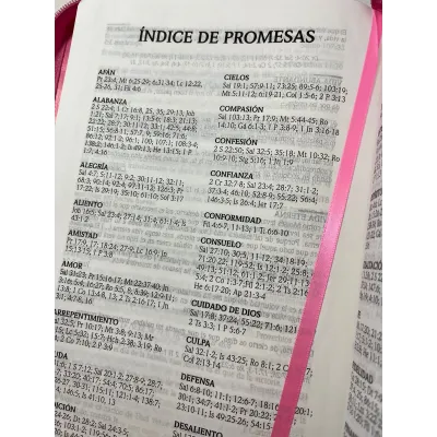 Biblia de Promesas Letra Gigante Rosa con cierre e índice RVR60 Biblia de Promesas Letra Gigante Rosa con cierre e índice RVR60