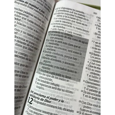 Biblia de Promesas Letra Gigante Verde floral con Cierre e Índice Biblia de Promesas Letra Gigante Verde floral con Cierre e Índice