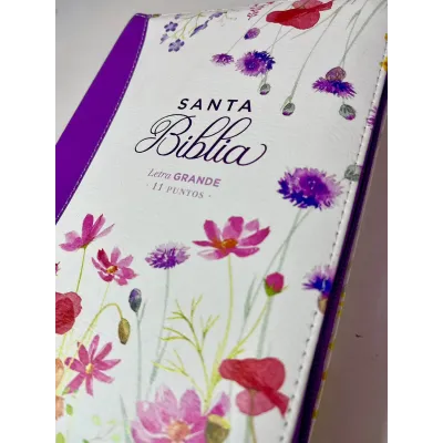 Biblia letra Grande RVR60 Uva Primaveral Biblia letra Grande RVR60 Uva Primaveral