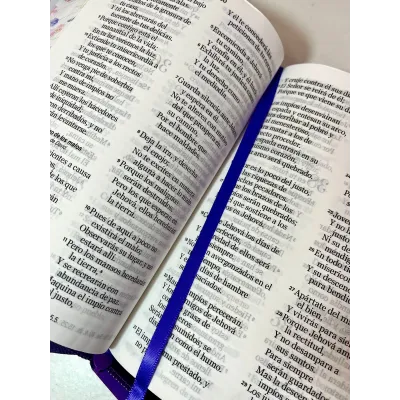 Biblia letra Grande RVR60 Uva Primaveral Biblia letra Grande RVR60 Uva Primaveral