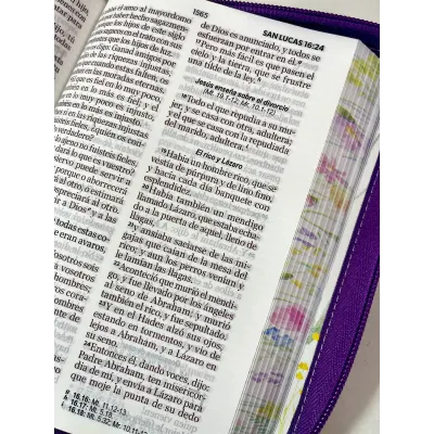 Biblia letra Grande RVR60 Uva Primaveral Biblia letra Grande RVR60 Uva Primaveral