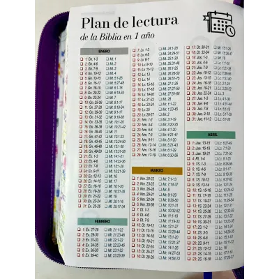 Biblia letra Grande RVR60 Uva Primaveral Biblia letra Grande RVR60 Uva Primaveral