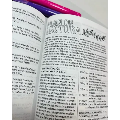 Santa Biblia edición artística NBLA tapa dura en tela | Color fucsia.. Santa Biblia edición artística NBLA tapa dura en tela | Color fucsia..
