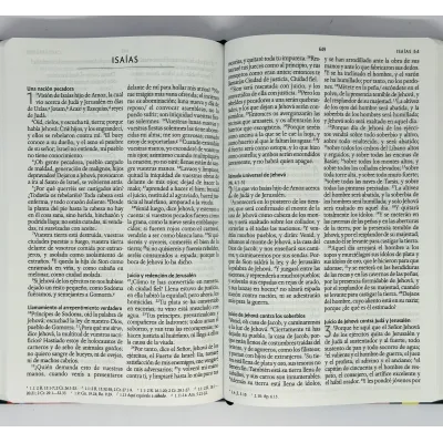 Biblia RVR60 Nombres De Dios/Tapa Dura Leon De Juda A Color Biblia RVR60 Nombres De Dios/Tapa Dura Leon De Juda A Color