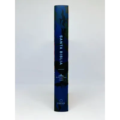 Biblia RVR60 Nombres De Dios/Tapa Dura Leon De Juda A Color Biblia RVR60 Nombres De Dios/Tapa Dura Leon De Juda A Color