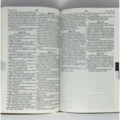 Biblia Tipo Agenda NVI Marron [Biblia] Nueva Versión Internacional