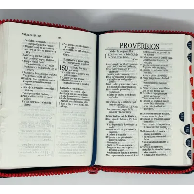 Biblia Tamaño 025 Jean Desgaste Roja [Biblia] Reina Valera 1960 Indice Cierre
