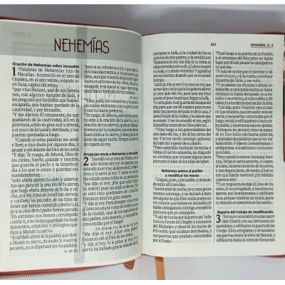 Biblia /RVR056cZLG/ Rosado Gris Canto Plateado Oraciones Biblia /RVR056cZLG/ Rosado Gris Canto Plateado Oraciones