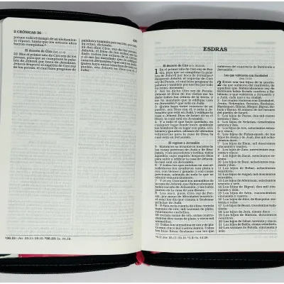Biblia Compacta Cierre Fucsia Cebra Reina Valera 1960 Biblia Compacta Cierre Fucsia Cebra Reina Valera 1960