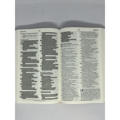 Biblia De Promesas NVI/Tapadura Rosada Biblia De Promesas NVI/Tapadura Rosada
