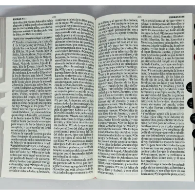 RVR 1960 Biblia Letra Grande Tela Flor Rosas Reina Valera 1960 RVR 1960 Biblia Letra Grande Tela Flor Rosas Reina Valera 1960