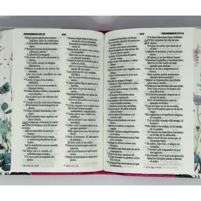 RVR60 Biblia Bitono Jardín Mariposas Tamaño Bolsillo [Biblia] Imitación Piel - Fucsia