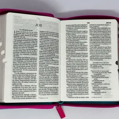 Biblia RVR60 025 cz PJR Primor Fucsia/Rosa/Turquesa con flores