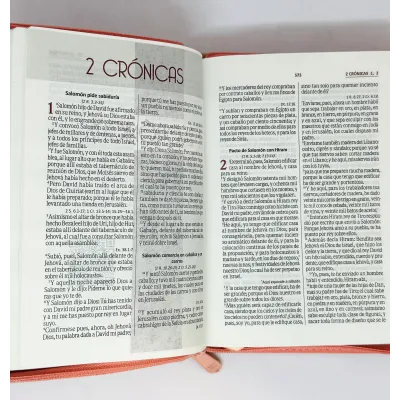 Biblia/RVR/045cZLM PJR/Rosa Beige/Canto Plateado [Biblia Biblia/RVR/045cZLM PJR/Rosa Beige/Canto Plateado [Biblia