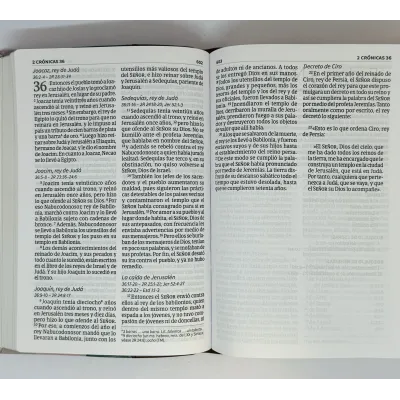 Biblia NVI/Letra Grande/Tamaño Manual/Simil Piel/Multicolor Biblia NVI/Letra Grande/Tamaño Manual/Simil Piel/Multicolor
