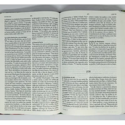 RVR 1960 Biblia Letra Grande Flores Verde Reina Valera 1960 RVR 1960 Biblia Letra Grande Flores Verde Reina Valera 1960