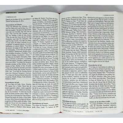 Biblia RVR60 Letra Grande/Tamaño Manual/Tapa Dura/Tela Rosada Con Flores Biblia RVR60 Letra Grande/Tamaño Manual/Tapa Dura/Tela Rosada Con Flores