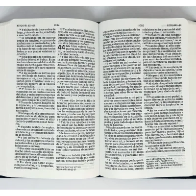 Biblia RVR60/Compacta/Letra Grande/(10)/Azul Floral Biblia RVR60/Compacta/Letra Grande/(10)/Azul Floral