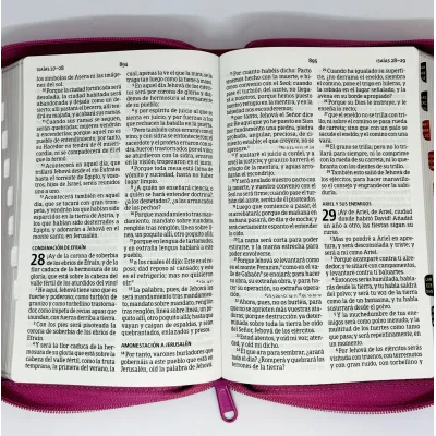 Biblia RVR60/Manual/Letra Grande/Simil Piel/Fucsia/Cierre/Indice Biblia RVR60/Manual/Letra Grande/Simil Piel/Fucsia/Cierre/Indice